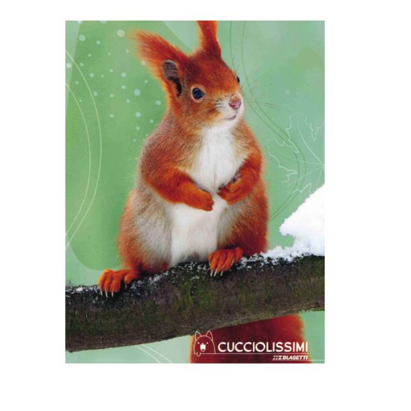 Quaderno Blasetti Cucciolissimi 10mm con margine