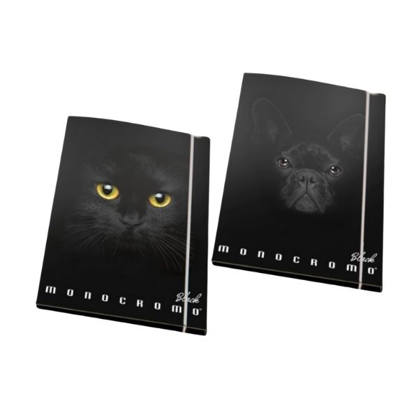 Cartella 3 Lembi con Elastico 26x34,5 cm